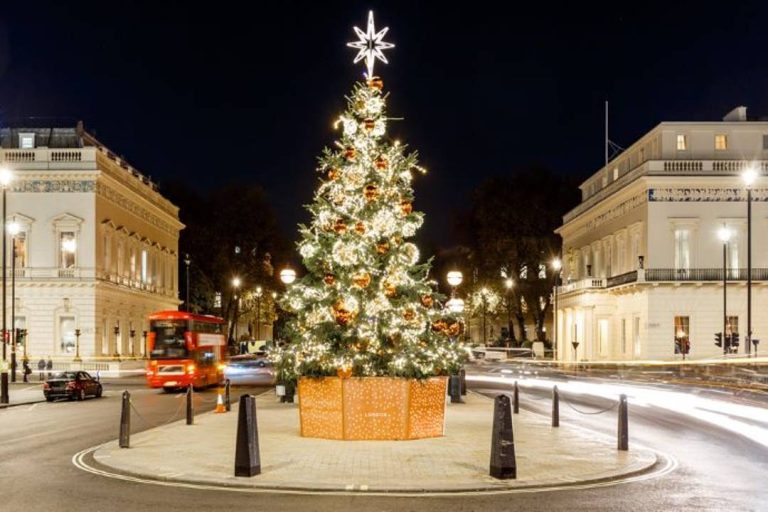 A photo of a Christmas tree in London.